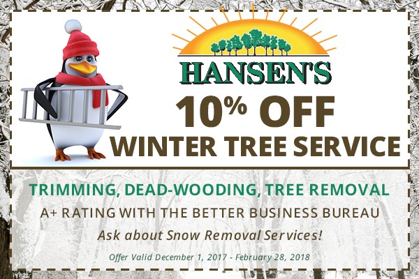 Hansen's Tree Service