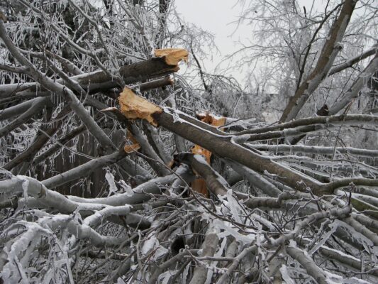 ice storm damage