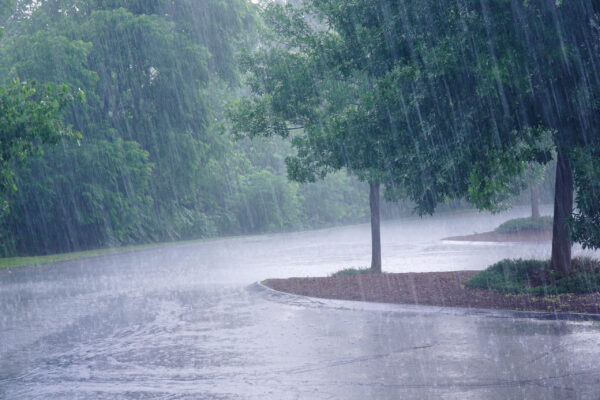 Rain - Flood