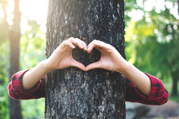 hands in the shape of a heart over a tree