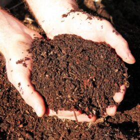 The Right Organic Compost Can Be A Game Changer