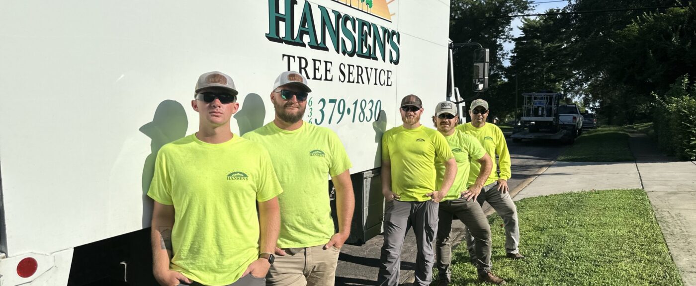 Hansen's Tree Service
