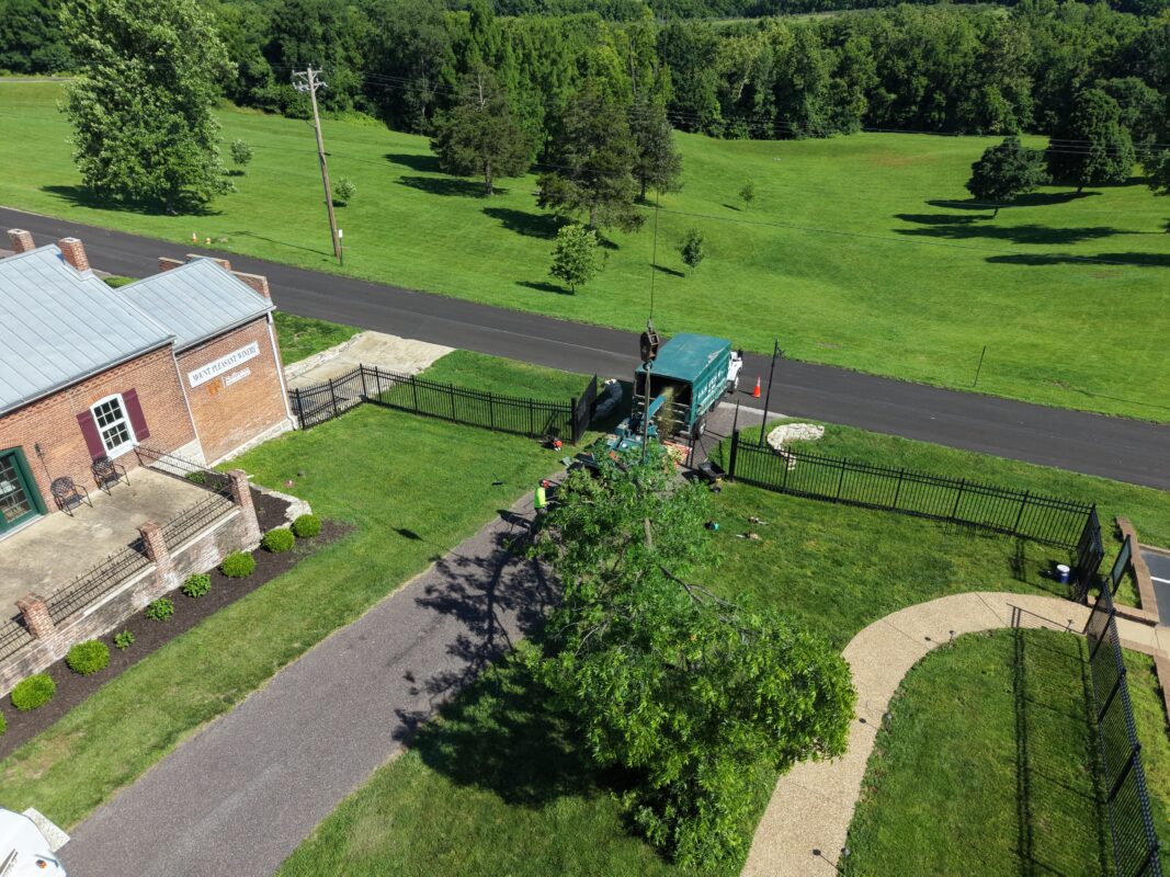 Hansen's Tree Service